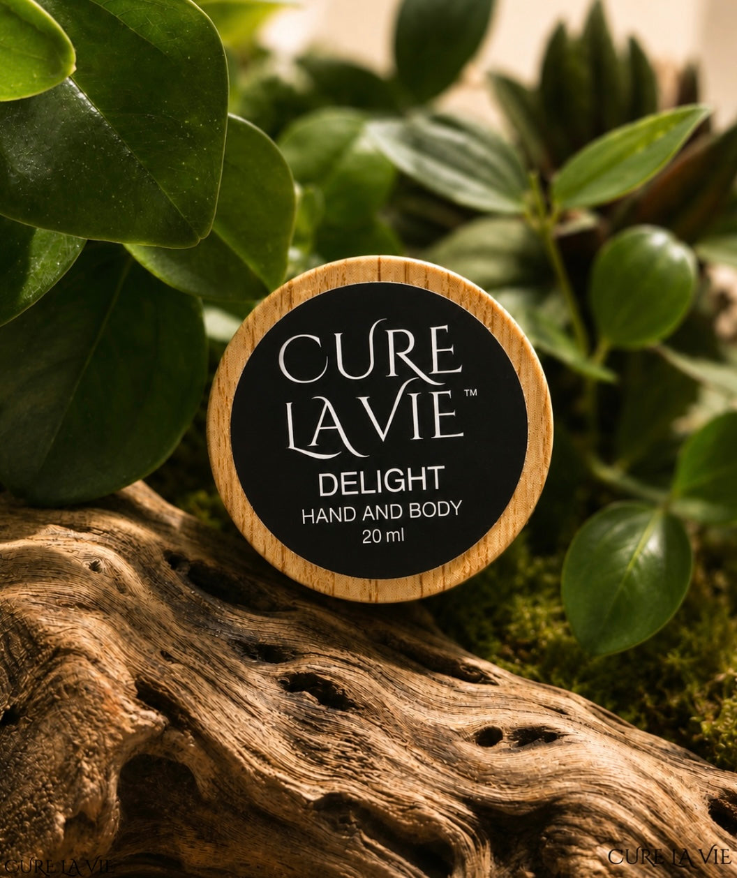 Cure La Vie DELIGHT Hand and Body travel Crème 20ml jar resting on driftwood surrounded by lush green botanicals
